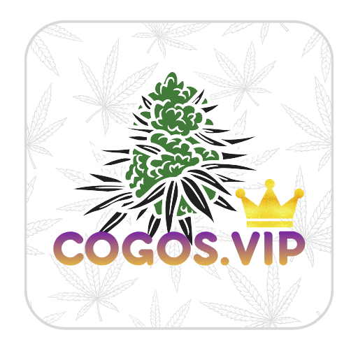 cogos.vip